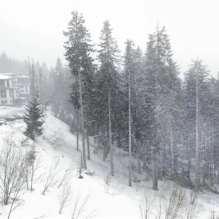 Lägenhet студио м в росица *