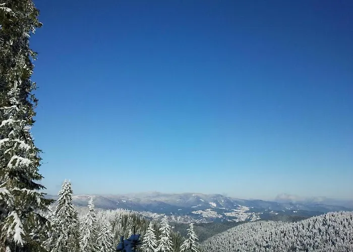 студио м в росица Lägenhet Pamporovo