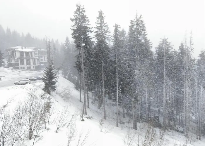 Lägenhet студио м в росица *